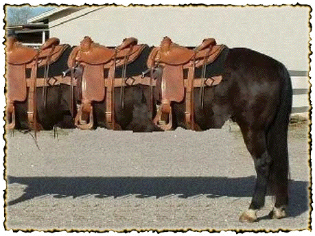 Countryband